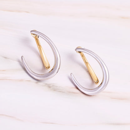 AROS VIRGINIA